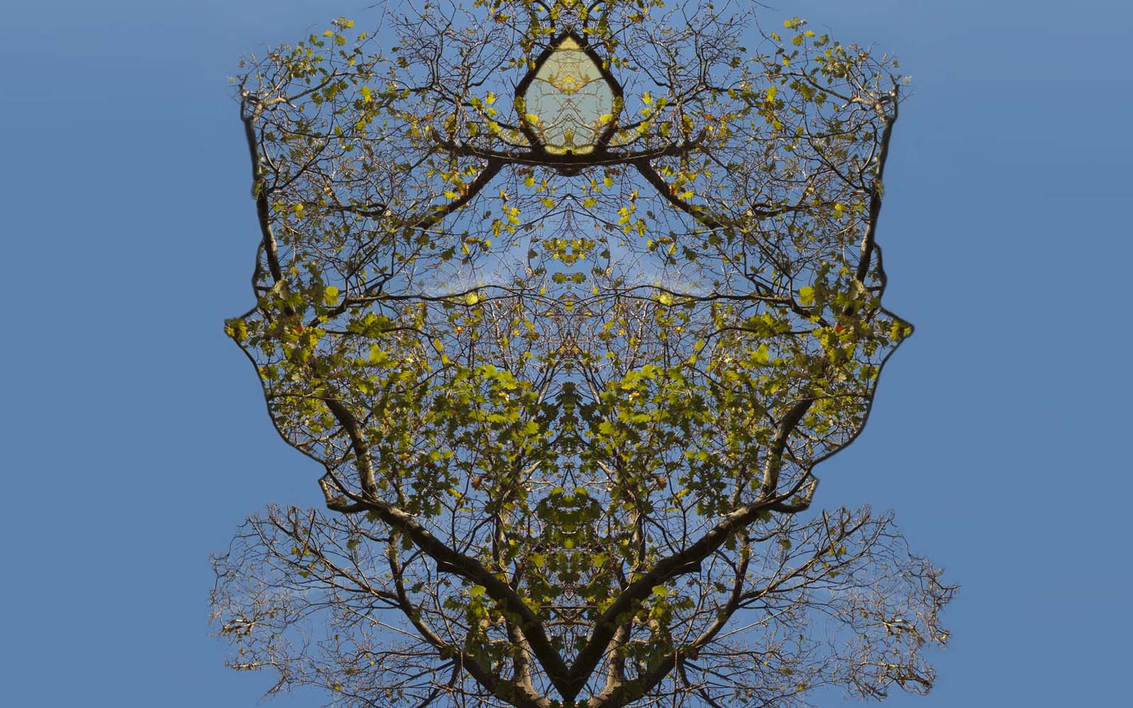 The inhabitants of Gaia